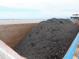 Hải Phòng: Tạm giữ 1.500 tấn than không rõ nguồn gốc