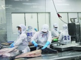 EU miễn thuế đối với 11.500 tấn cá ngừ Việt Nam mỗi năm
