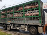 Giá thịt lợn hơi giảm dưới mốc 90.000 đồng/kg