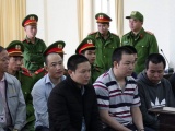 Vụ phá rừng thông ở Lâm Đồng: Tòa tuyên án hơn 32 năm tù cho 7 bị cáo