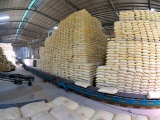 Hiện cả nước có 192 thương nhân kinh doanh xuất khẩu gạo
