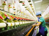 Vùng nguyên liệu là vướng mắc lớn với dệt may của Việt Nam 