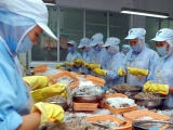Xuất khẩu tôm của Việt Nam tăng 5,7% trong 6 tháng đầu năm