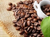 Giá cà phê tiếp tục giảm, hồ tiêu tăng nhẹ theo giá thế giới