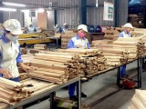 Xuất khẩu gỗ khôi phục đà tăng trưởng