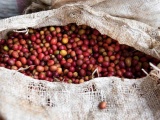 Giá cà phê thế giới đảo chiều, hồ tiêu tăng nhẹ 500 đồng/kg