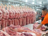 Giá lợn hơi hôm nay giảm từ 1.000 - 3.000 đồng/kg 