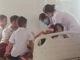 Quảng Trị: 26 học sinh tiểu học nhập viện vì bị ong đốt
