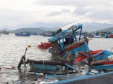 Quảng Ngãi: Tàu câu mực bị đâm chìm, 3 người bị thương và mất tích