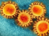 Nghiên cứu mới: SARS-CoV-2 có thể tiếp tục đột biến ngay cả khi có vaccine