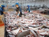 Thêm 25 cơ sở chế biến thủy sản Việt được xuất khẩu sang Đài Loan