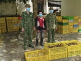 Quảng Ninh: Thu giữ hơn 32.000 con gia cầm giống nhập lậu