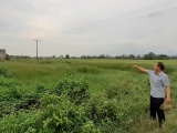 Bắc Giang: Nhiều vi phạm về đất đai chưa được giải quyết dứt điểm tại huyện Yên Dũng 