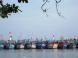 Ứng phó với bão số 9: Phú Yên sẽ cưỡng chế ngư dân nếu không rời bè và tàu cá