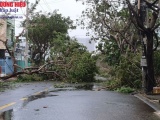 Đà Nẵng: Công tác phòng chống và khắc phục thiên tai sau bão số 9
