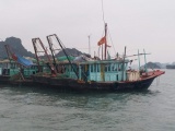 Quảng Ninh: 2 tàu cá tàng trữ ngư cụ trái phép bị phạt 40 triệu đồng
