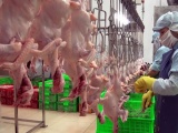 Singapore và Hong Kong - thị trường tiềm năng cho thịt gà Việt Nam