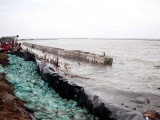 Cà Mau: Bảo vệ khẩn cấp đê biển Tây đang sạt lở nghiêm trọng