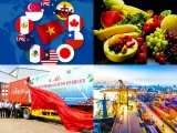 Hiệu quả thiết thực từ chính sách giữ nhịp tăng trưởng xuất khẩu của Việt Nam