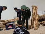 Quảng Trị: Đồn Biên phòng cửa khẩu Lao Bảo bắt đối tượng vận chuyển gỗ trắc và pháo từ Lào về Việt Nam