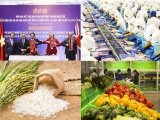 Cơ hội tăng trưởng cho xuất khẩu của Việt Nam trong Hiệp định UKVFTA