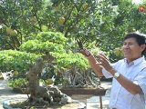 Nghệ nhân Nguyễn Văn Khuyến - Người 'Thổi hồn' cho cây