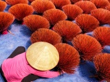 “Mùi Tết, mùi Xuân về” tại làng hương truyền thống Quảng Phú Cầu
