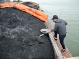 Cảnh sát biển tạm giữ 850 tấn than không rõ nguồn gốc 