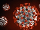 Nhật Bản phát hiện biến thể mới của virus SARS-CoV-2