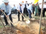 Thủ tướng gửi thư khen Bến Tre hưởng ứng trồng 10 triệu cây xanh