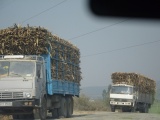 Gia Lai cho phép xe chở nông sản ra vào vùng dịch