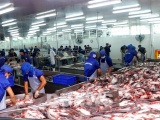Campuchia đã hủy lệnh cấm nhập khẩu 4 loài cá da trơn từ Việt Nam