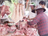 Giá lợn hơi ngày 19/2 giảm từ 1.000 - 2.000 đồng/kg