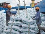 Bất chấp dịch bệnh, xuất khẩu gạo vẫn ghi nhận nhiều tín hiệu lạc quan 