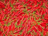 Thực hư thông tin Trung Quốc cấm nhập khẩu ớt từ Việt Nam