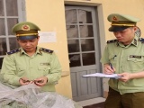Lạng Sơn: Thu giữ gần 370 kg thuốc bắc nhập lậu