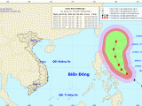 Các tỉnh, thành phố ven biển chủ động, sẵn sàng ứng phó với siêu bão Surigae