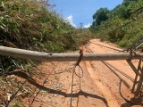 Kon Tum: Mưa lớn kèm dông lốc gây mất điện toàn huyện Ia H’Drai