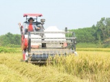 Bắc Giang: Thu hoạch nông sản tại các địa phương thực hiện giãn cách xã hội