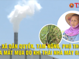 Xã Dân Quyền - Tam Nông - Phú Thọ: Lúa mất mùa do khí thải nhà máy gạch?