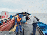 Hải Phòng: Tạm giữ tàu chở 15.000 lít dầu DO không rõ nguồn gốc