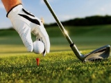 Đình chỉ công tác phó Cục trưởng Cục Thuế đi đánh golf giữa mùa dịch