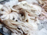Hàn Quốc là thị trường xuất khẩu bạch tuộc lớn nhất của Việt Nam