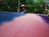 Hà Nam: Làng dệt lụa Nha Xá ngót nghìn năm tuổi vẫn khởi sắc
