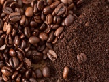 Giá cà phê và hồ tiêu ngày 24/8 biến động trái chiều