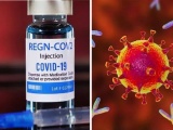 Thuốc kháng thể đơn dòng mới giúp phòng và điều trị COVID-19