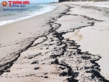 Quảng Bình: Thu gom hơn 750kg dầu tràn vào bờ biển