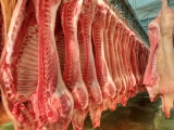 Giá lợn hơi ngày 9/9/2021 tăng nhẹ ở một số địa phương