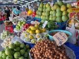 Việt Nam thúc đẩy xuất khẩu nông sản sang thị trường Trung Quốc