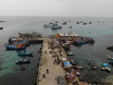 Các cảng cá do Nhà nước quản lý tại Quảng Ngãi được phép hoạt động trở lại